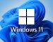 Windows 11